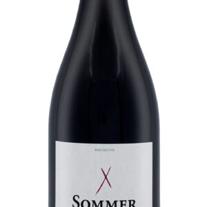 Vomthal Blauer Zweigelt 2019