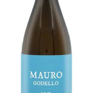 Mauro Godello 2020