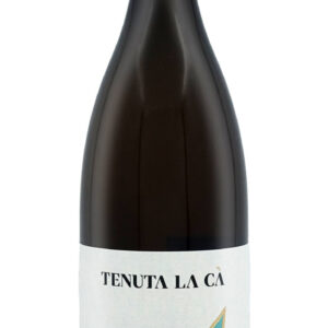 Traminer 2020