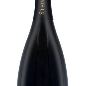 Weissburgunder Sekt 'Ried Panzaun', brut 2017