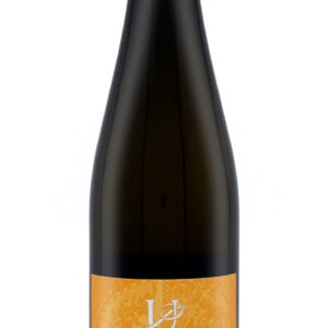 Riesling 'Ried Gaisberg' 2020