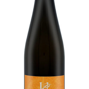 Riesling 'Ried Steinleithen' 2021