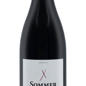 Schieferstein Blauer Zweigelt 2020