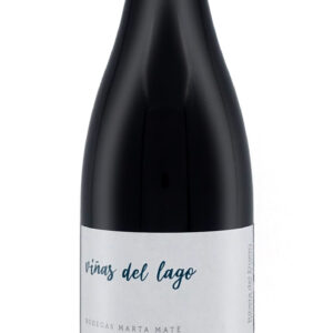 Viñas del Lago 2020