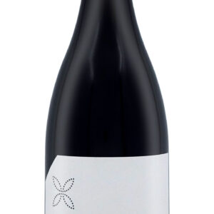 Amarone della Valpolicella classico 2015