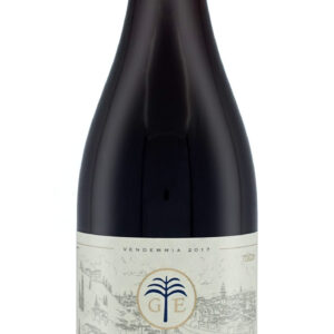 Valpolicella Ripasso superiore 2018