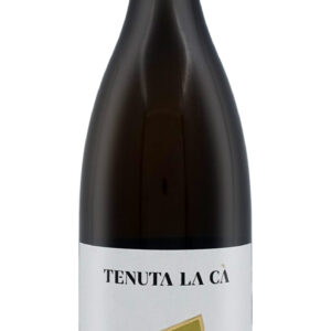 Pinot Bianco 2019